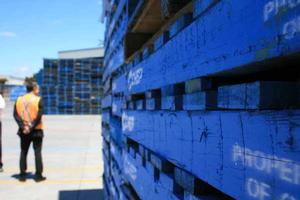 The latest CHEP-Australian Food & Grocery Council Retail index predicts modest retail growth in Australia in coming months based on details of pallet movements in the country's supply chain.